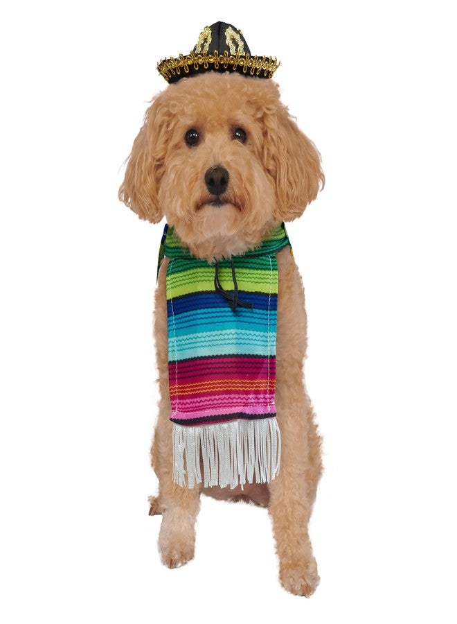 Rubies Serape and Hat Pet Costume Pet Costume for Dogs or Cats, Medium - Image 3